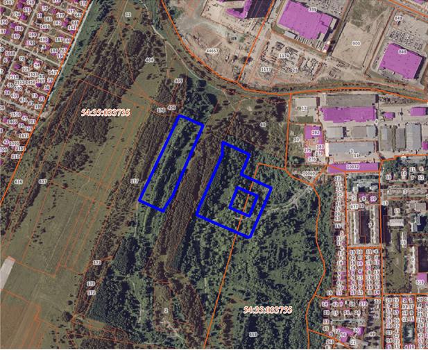 Постановление Правительства Новосибирской области от 09.09.2025 N 421-п "О комплексном развитии незастроенной территории в Заельцовском районе города Новосибирска Новосибирской области"