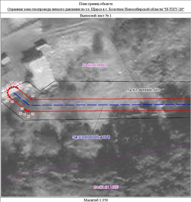 Распоряжение Правительства Новосибирской области от 17.08.2021 N 371-рп "Об установлении зоны с особыми условиями использования территории "Охранная зона "Газопровод низкого давления по ул. Щорса в г. Болотное Новосибирской области "Н-ТП/У-20", протяженностью 153 метра"