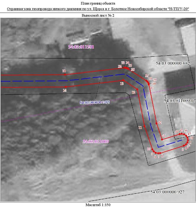 Распоряжение Правительства Новосибирской области от 17.08.2021 N 371-рп "Об установлении зоны с особыми условиями использования территории "Охранная зона "Газопровод низкого давления по ул. Щорса в г. Болотное Новосибирской области "Н-ТП/У-20", протяженностью 153 метра"