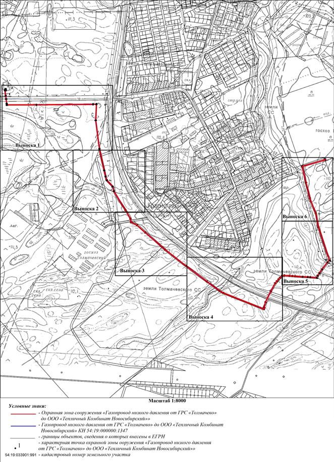 Распоряжение Правительства Новосибирской области от 14.09.2021 N 441-рп "Об установлении зоны с особыми условиями использования территории "Охранная зона сооружения "Газопровод низкого давления от ГРС "Толмачево" до ООО "Тепличный Комбинат Новосибирский" протяженностью 4267 метров"