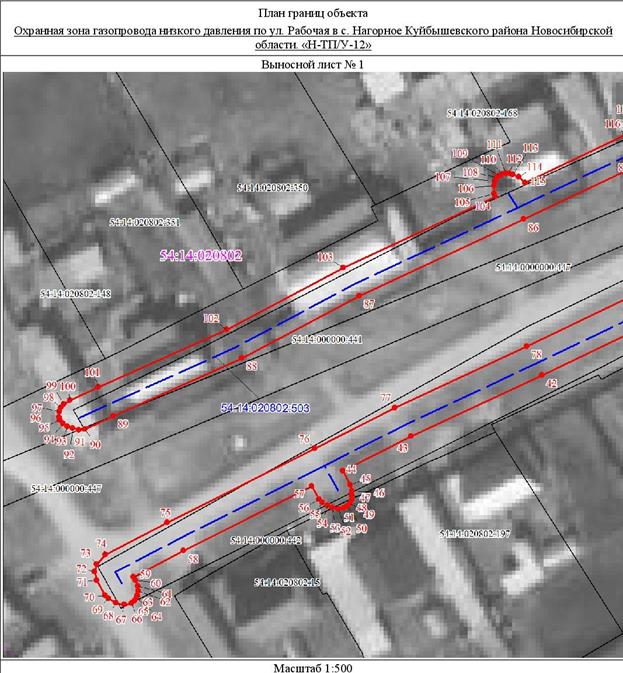 Распоряжение Правительства Новосибирской области от 18.01.2022 N 15-рп "Об установлении зоны с особыми условиями использования территории "Охранная зона "Газопровод низкого давления по ул. Рабочая в с. Нагорное Куйбышевского района Новосибирской области. "Н-ТП/У-12" протяженностью 466 метров"