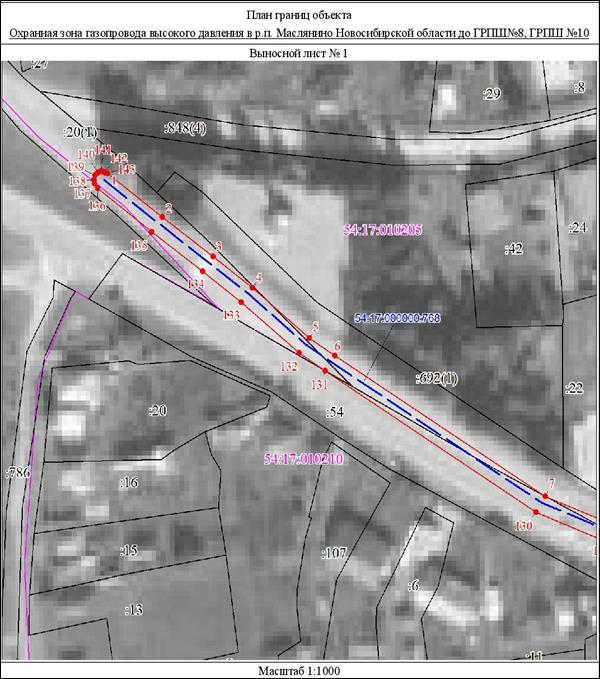Распоряжение Правительства Новосибирской области от 22.03.2022 N 125-рп "Об установлении зоны с особыми условиями использования территории "Охранная зона "Газопровод высокого давления в р.п. Маслянино Новосибирской области до ГРПШ N 8, ГРПШ N 10" протяженностью 1180 метров"