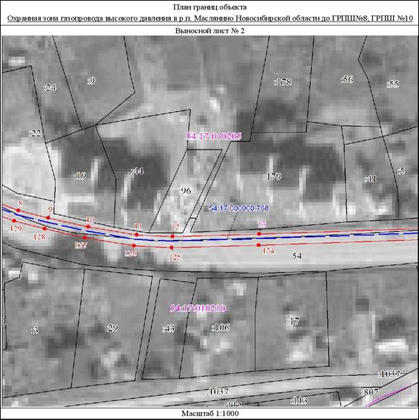 Распоряжение Правительства Новосибирской области от 22.03.2022 N 125-рп "Об установлении зоны с особыми условиями использования территории "Охранная зона "Газопровод высокого давления в р.п. Маслянино Новосибирской области до ГРПШ N 8, ГРПШ N 10" протяженностью 1180 метров"