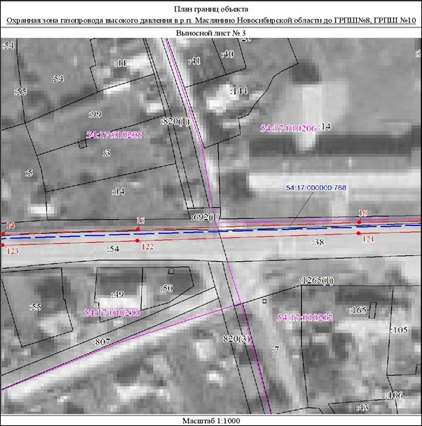 Распоряжение Правительства Новосибирской области от 22.03.2022 N 125-рп "Об установлении зоны с особыми условиями использования территории "Охранная зона "Газопровод высокого давления в р.п. Маслянино Новосибирской области до ГРПШ N 8, ГРПШ N 10" протяженностью 1180 метров"