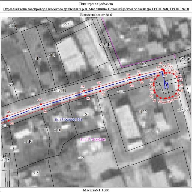 Распоряжение Правительства Новосибирской области от 22.03.2022 N 125-рп "Об установлении зоны с особыми условиями использования территории "Охранная зона "Газопровод высокого давления в р.п. Маслянино Новосибирской области до ГРПШ N 8, ГРПШ N 10" протяженностью 1180 метров"