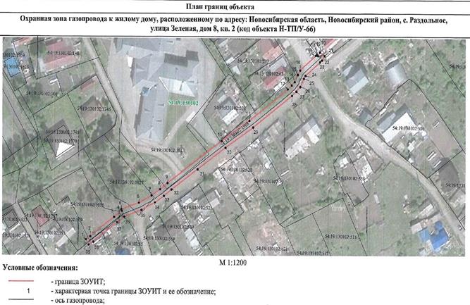 Распоряжение Правительства Новосибирской области от 19.04.2022 N 170-рп "Об установлении зоны с особыми условиями использования территории "Охранная зона "Газопровод к жилому дому, расположенному по адресу: Новосибирская область, Новосибирский район, с. Раздольное, улица Зеленая, дом 8, кв. 2 (код объекта Н-ТП/У-66)" протяженностью 217 метров"