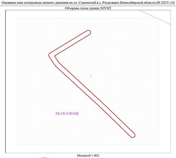 Распоряжение Правительства Новосибирской области от 15.06.2022 N 313-рп "Об установлении зоны с особыми условиями использования территории "Охранная зона "Газопровод низкого давления по ул. Строителей в с. Раздольное Новосибирской области (Н-ТП/У-14)" протяженностью 198 метров"