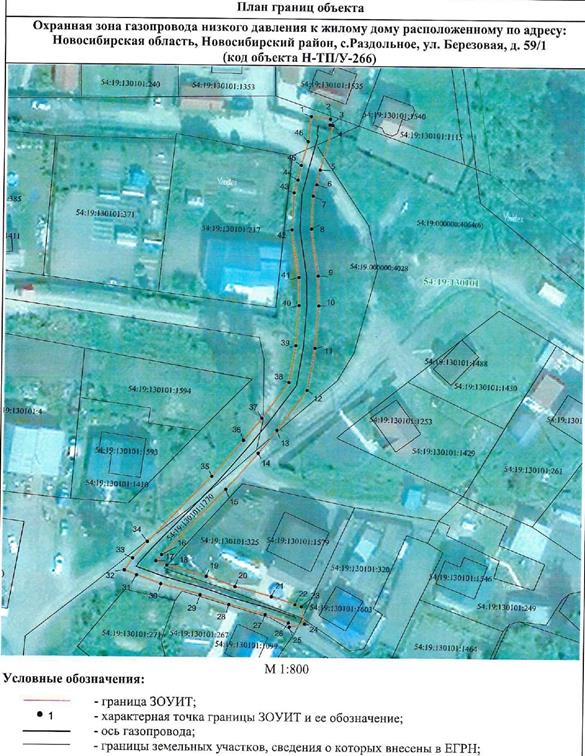 Распоряжение Правительства Новосибирской области от 15.06.2022 N 314-рп "Об установлении зоны с особыми условиями использования территории "Охранная зона "Газопровод низкого давления к жилому дому, расположенному по адресу: Новосибирская область, Новосибирский район, с. Раздольное, ул. Березовая, д. 59/1 (код объекта Н-ТП/У-266)" протяженностью 201 метр"