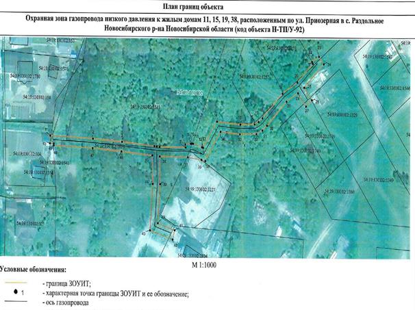 Распоряжение Правительства Новосибирской области от 15.06.2022 N 315-рп "Об установлении зоны с особыми условиями использования территории "Охранная зона "Газопровод низкого давления к жилым домам 11, 15, 19, 38, расположенным по ул. Приозерная в с. Раздольное Новосибирского р-на Новосибирской области (код объекта Н-ТП/У-92)" протяженностью 285 метров"
