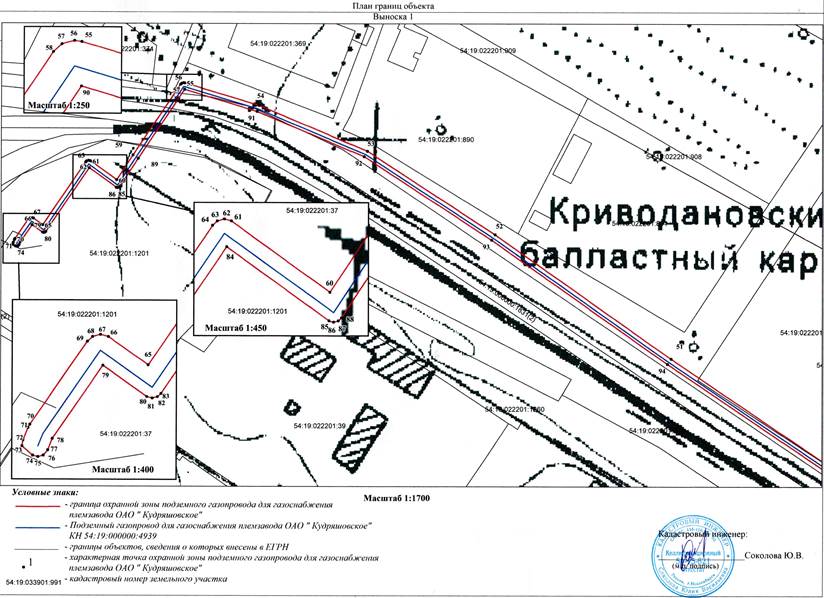 Распоряжение Правительства Новосибирской области от 28.06.2022 N 356-рп "Об установлении зоны с особыми условиями использования территории "Охранная зона "Подземный газопровод для газоснабжения племзавода ОАО "Кудряшовское" протяженностью 2478 метров"