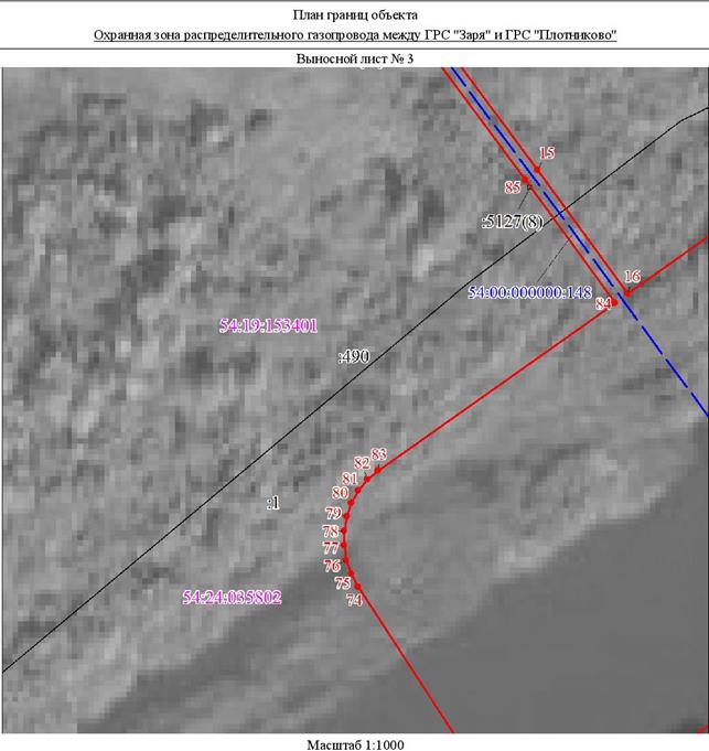 Распоряжение Правительства Новосибирской области от 04.10.2022 N 685-рп "Об установлении зоны с особыми условиями использования территории "Охранная зона "Распределительный газопровод между ГРС "Заря" и ГРС "Плотниково" протяженностью 1165 метров"