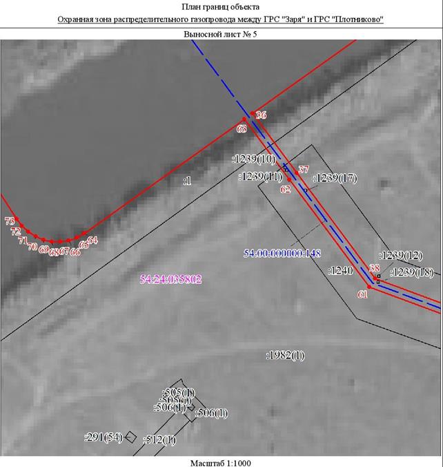 Распоряжение Правительства Новосибирской области от 04.10.2022 N 685-рп "Об установлении зоны с особыми условиями использования территории "Охранная зона "Распределительный газопровод между ГРС "Заря" и ГРС "Плотниково" протяженностью 1165 метров"
