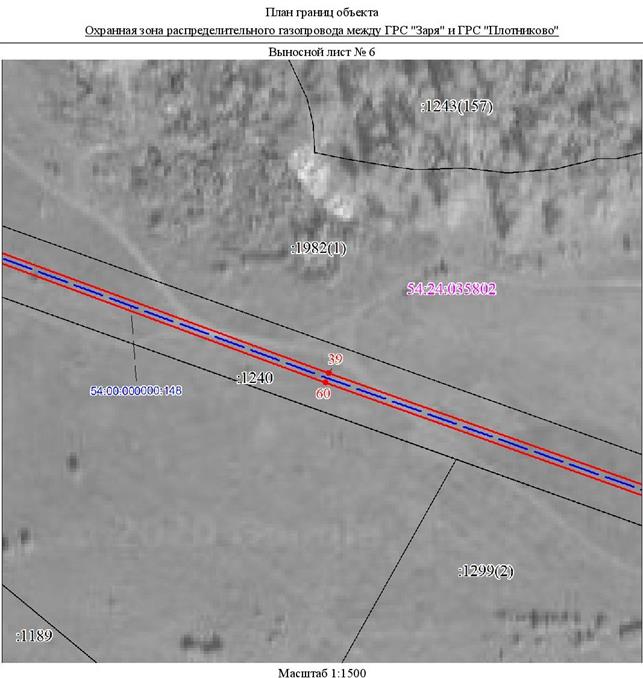 Распоряжение Правительства Новосибирской области от 04.10.2022 N 685-рп "Об установлении зоны с особыми условиями использования территории "Охранная зона "Распределительный газопровод между ГРС "Заря" и ГРС "Плотниково" протяженностью 1165 метров"