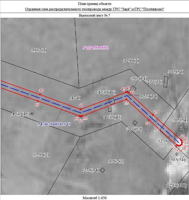 Распоряжение Правительства Новосибирской области от 04.10.2022 N 685-рп "Об установлении зоны с особыми условиями использования территории "Охранная зона "Распределительный газопровод между ГРС "Заря" и ГРС "Плотниково" протяженностью 1165 метров"