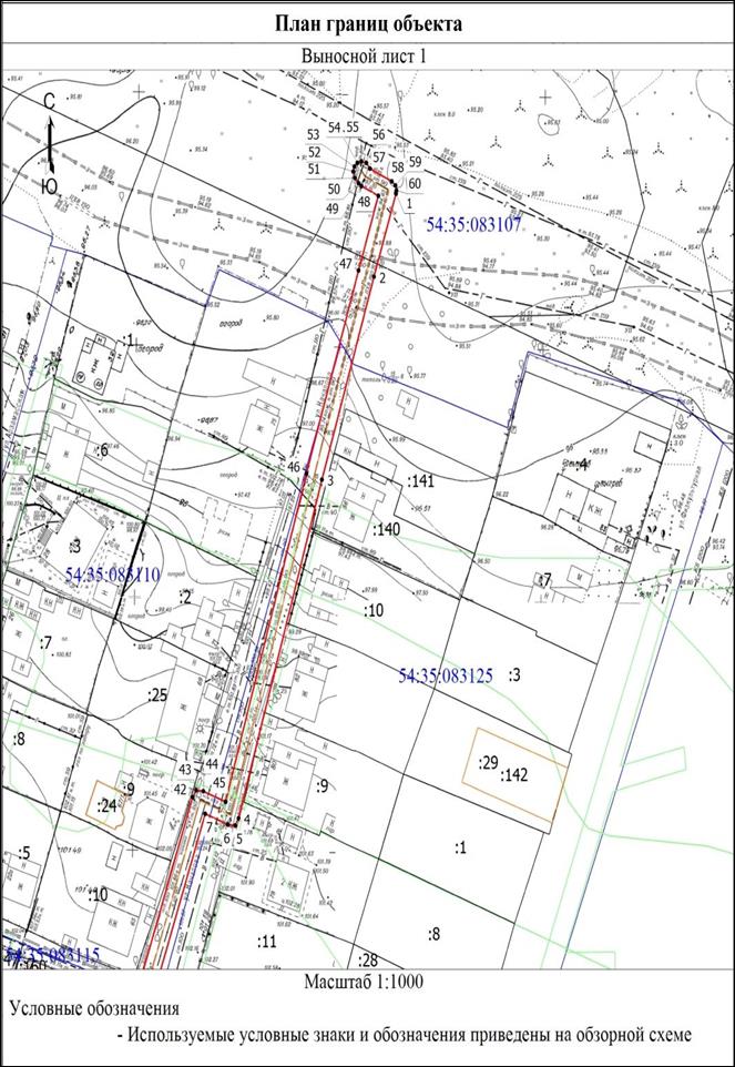Распоряжение Правительства Новосибирской области от 20.12.2022 N 1050-рп "Об установлении зоны с особыми условиями использования территории "Охранная зона "Газопровод высокого давления, ГРПШ N 3 по ул. Руставели для газоснабжения жилых домов ПК "Иня-газ", г. Новосибирск" протяженностью 625 метров"