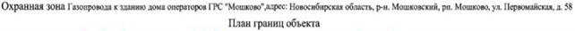 Распоряжение Правительства Новосибирской области от 10.01.2023 N 7-рп "Об установлении зоны с особыми условиями использования территории "Охранная зона "Газопровод к зданию дома операторов ГРС "Мошково" протяженностью 787 метров"