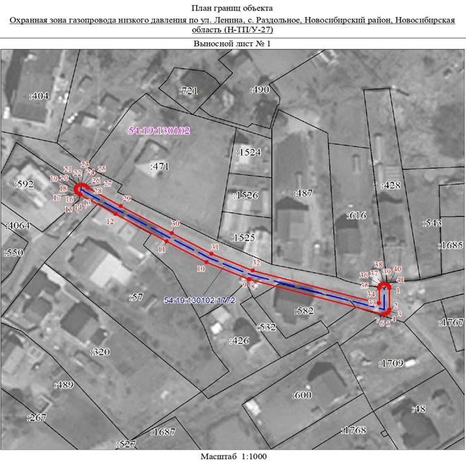 Распоряжение Правительства Новосибирской области от 07.02.2023 N 65-рп "Об установлении зоны с особыми условиями использования территории "Охранная зона "Газопровод низкого давления по ул. Ленина, с. Раздольное, Новосибирский район, Новосибирская область (Н-ТП/У-27)" протяженностью 150 метров"
